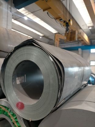 Immagine di 2306R00022